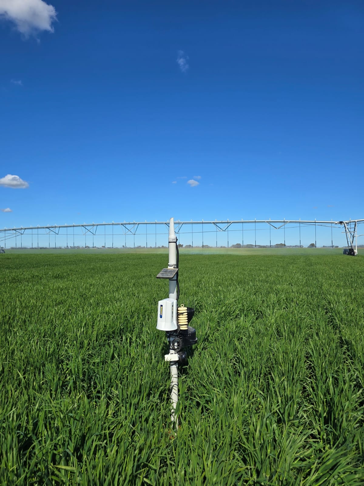 Cellular Telemetry Hub